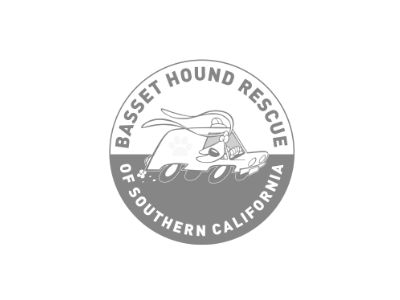 Basset Hound Rescue